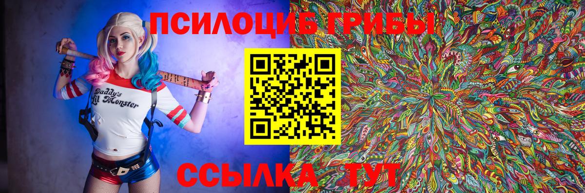 Ишим  Галлюциногенные грибы Psilocybine cubensis  Вход с VPN  Галлюциногенные грибы Cubensis 